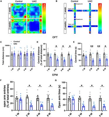 Activation of the VpdmVGLUT1-VPM pathway contributes to anxiety-like behaviors induced by malocclusion